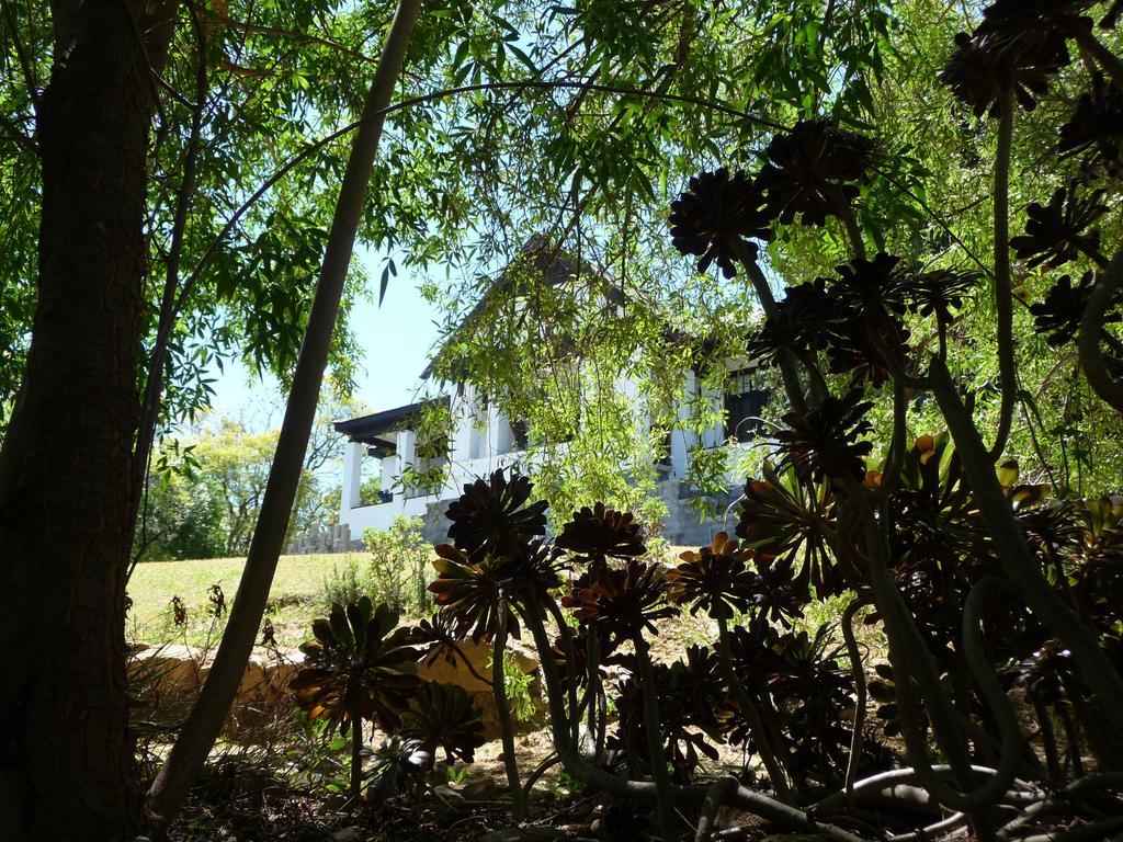 Karoo Soul Hostel Oudtshoorn Kültér fotó
